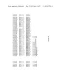 Sclareol and labdenediol diphosphate synthase polypeptides, encoding     nucleic acid molecules and uses thereof diagram and image