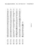 Sclareol and labdenediol diphosphate synthase polypeptides, encoding     nucleic acid molecules and uses thereof diagram and image