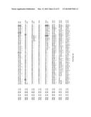 Sclareol and labdenediol diphosphate synthase polypeptides, encoding     nucleic acid molecules and uses thereof diagram and image