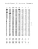 Sclareol and labdenediol diphosphate synthase polypeptides, encoding     nucleic acid molecules and uses thereof diagram and image