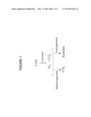 GENERATION OF HYDROGEN FROM HYDROCARBON BEARING MATERIALS diagram and image