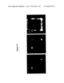 MICROFLUIDIC PHOTOPORATION diagram and image