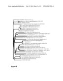 DETERGENT COMPOSITIONS CONTAINING BACILLUS AGARADHAERENS MANNANASE AND     METHODS OF USE THEREOF diagram and image