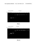 LOW MOLECULAR WEIGHT BRANCHED POLYAMINES FOR DELIVERY OF BIOLOGICALLY     ACTIVE MATERIALS diagram and image