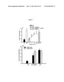 MODULATION OF GRANULOSA CELL APOPTOSIS diagram and image