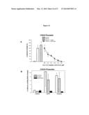 MODULATION OF GRANULOSA CELL APOPTOSIS diagram and image