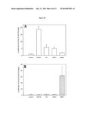 MODULATION OF GRANULOSA CELL APOPTOSIS diagram and image