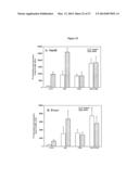 MODULATION OF GRANULOSA CELL APOPTOSIS diagram and image