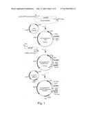 RECOMBINANT THERMOTOLERANT YEAST WITH A SUBSTITUTE HEAT SHOCK PROTEIN 104     PROMOTER diagram and image