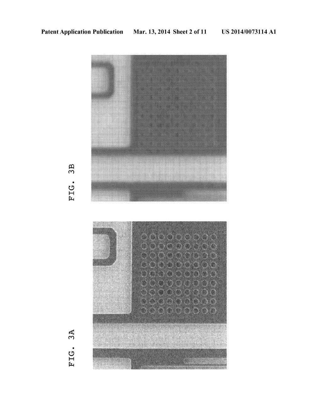 IN-SITU ACTIVE WAFER CHARGE SCREENING BY CONFORMAL GROUNDING - diagram, schematic, and image 03