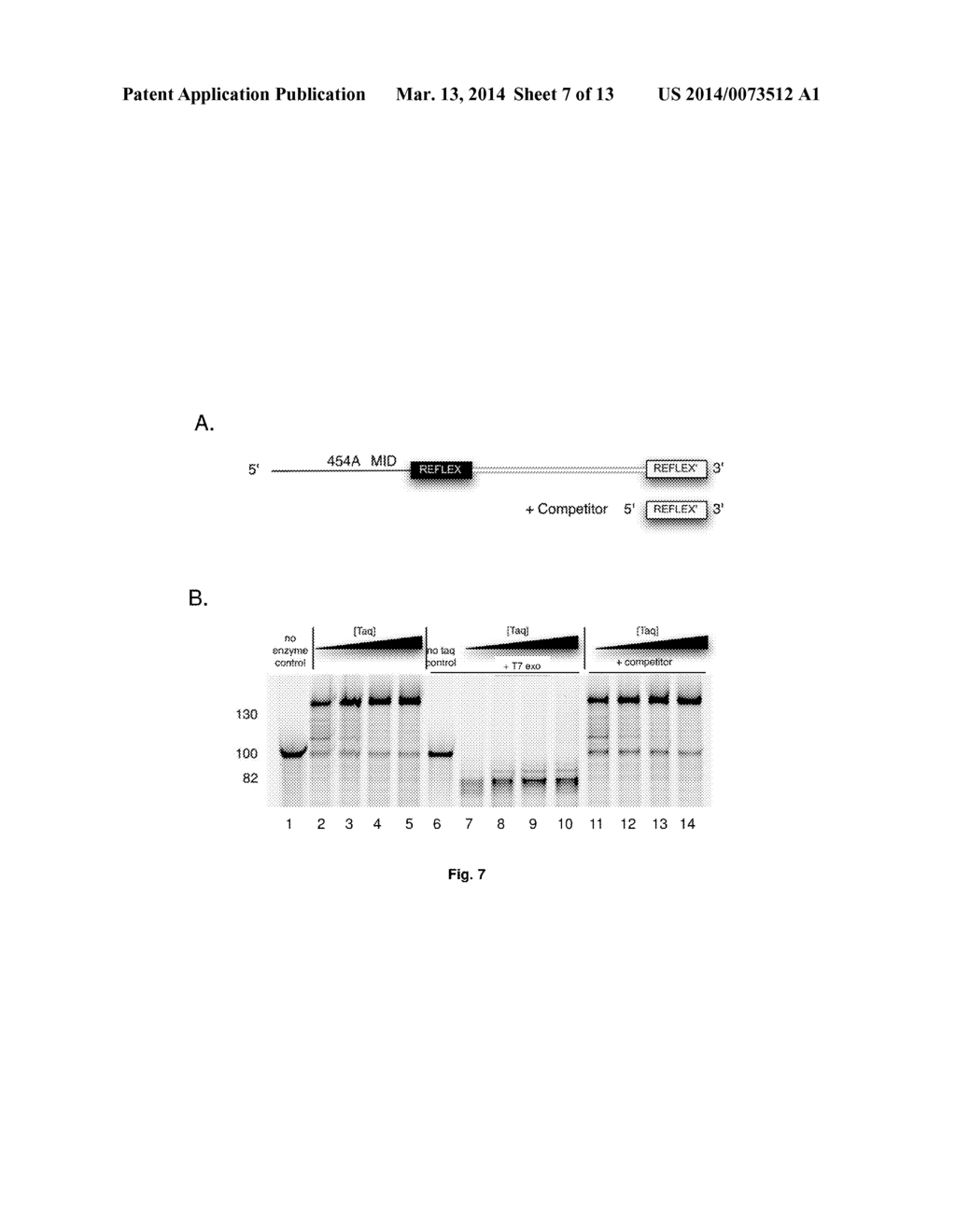 Compositions and Methods for Intramolecular Nucleic Acid Rearrangement - diagram, schematic, and image 08