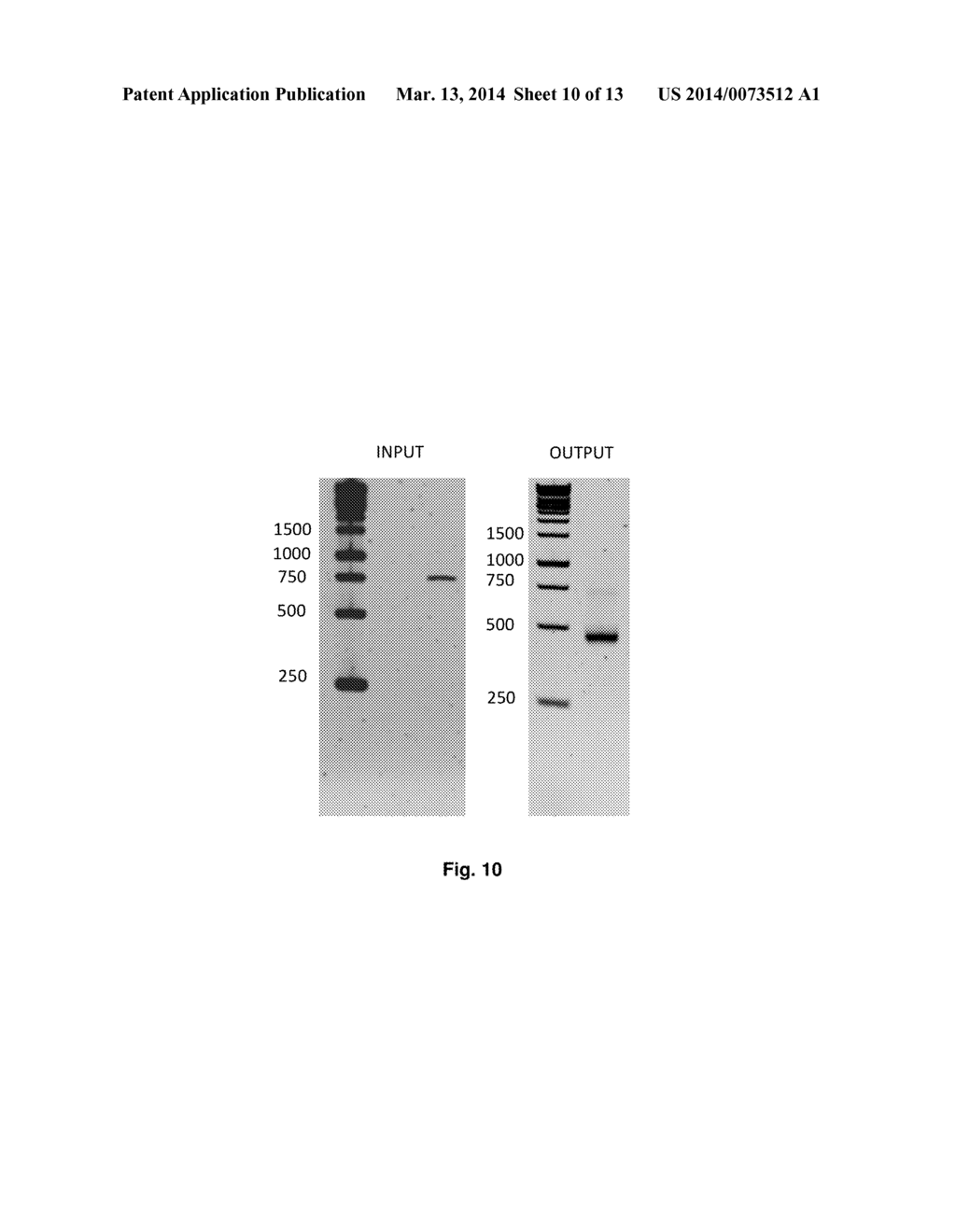 Compositions and Methods for Intramolecular Nucleic Acid Rearrangement - diagram, schematic, and image 11