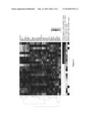 MARKERS AND METHODS FOR DETECTING POSTTRAUMATIC STRESS DISORDER (PTSD) diagram and image