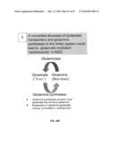 ADMINISTRATION OF FGF9 FOR TREATMENT OF ANXIETY diagram and image