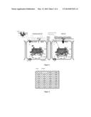 TREATING PROTEIN FOLDING DISORDERS WITH SMALL MOLECULE CFTR CORRECTORS diagram and image