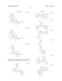 TREATING PROTEIN FOLDING DISORDERS WITH SMALL MOLECULE CFTR CORRECTORS diagram and image