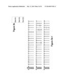 OPTIMIZED Fc VARIANTS diagram and image