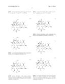 PROCESSES FOR THE PREPARATION OF 2-FLUORO 6-11 BICYCLIC ERYTHROMYCIN     DERIVATIVES diagram and image