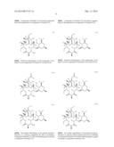 PROCESSES FOR THE PREPARATION OF 2-FLUORO 6-11 BICYCLIC ERYTHROMYCIN     DERIVATIVES diagram and image