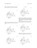 PROCESSES FOR THE PREPARATION OF 2-FLUORO 6-11 BICYCLIC ERYTHROMYCIN     DERIVATIVES diagram and image