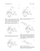 PROCESSES FOR THE PREPARATION OF 2-FLUORO 6-11 BICYCLIC ERYTHROMYCIN     DERIVATIVES diagram and image