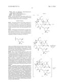 PROCESSES FOR THE PREPARATION OF 2-FLUORO 6-11 BICYCLIC ERYTHROMYCIN     DERIVATIVES diagram and image