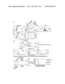 ANTI-TUMOR T CELL IMMUNITY INDUCED BY HIGH DOSE RADIATION diagram and image