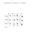 ANTI-TUMOR T CELL IMMUNITY INDUCED BY HIGH DOSE RADIATION diagram and image