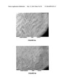 METHODS FOR IMPROVING THE BIOACTIVITY CHARACTERISTICS OF A SURFACE AND     OBJECTS WITH SURFACES IMPROVED THEREBY diagram and image