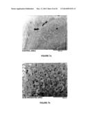 METHODS FOR IMPROVING THE BIOACTIVITY CHARACTERISTICS OF A SURFACE AND     OBJECTS WITH SURFACES IMPROVED THEREBY diagram and image