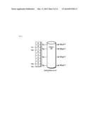 STACK HANDLING OPERATION METHOD, SYSTEM, AND COMPUTER PROGRAM diagram and image