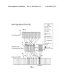 EFFICIENT READABLE BALLOONING OF GUEST MEMORY BY BACKING BALLOON PAGES     WITH A SHARED PAGE diagram and image