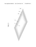 ORGANIC LIGHT EMITTING DIODE DISPLAY diagram and image