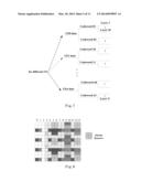 MULTIPLE USER MULTI-INPUT MULTI-OUTPUT TRANSMISSION METHOD, USER EQUIPMENT     AND BASE STATION diagram and image