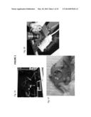 CARBON NANOTUBES FOR IMAGING AND DRUG DELIVERY diagram and image