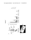 CARBON NANOTUBES FOR IMAGING AND DRUG DELIVERY diagram and image