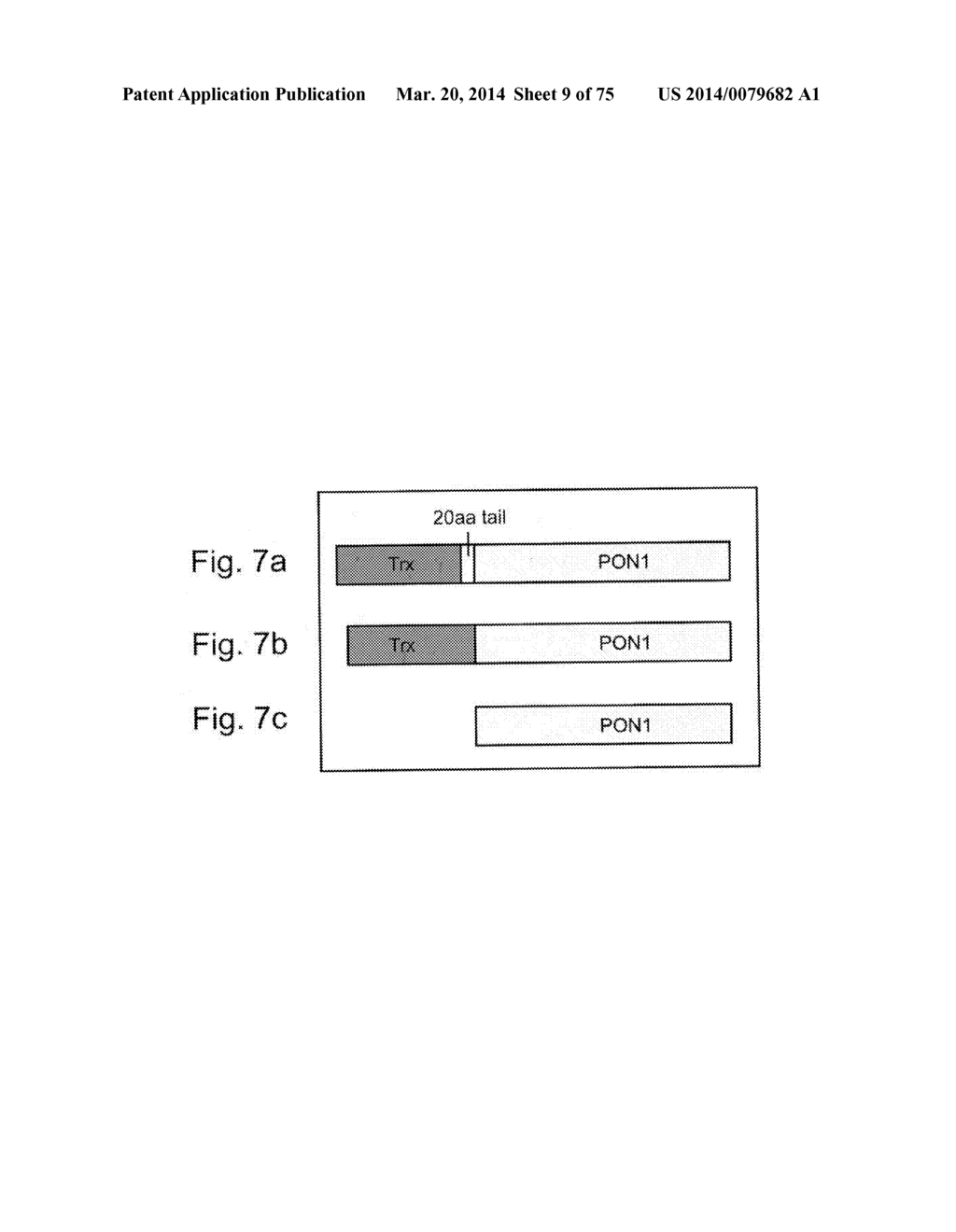 PON POLYPEPTIDES, POLYNUCLEOTIDES ENCODING SAME AND COMPOSITIONS AND     METHODS UTILIZING SAME - diagram, schematic, and image 10