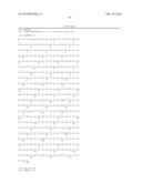 PON POLYPEPTIDES, POLYNUCLEOTIDES ENCODING SAME AND COMPOSITIONS AND     METHODS UTILIZING SAME diagram and image