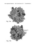 PON POLYPEPTIDES, POLYNUCLEOTIDES ENCODING SAME AND COMPOSITIONS AND     METHODS UTILIZING SAME diagram and image