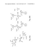 PON POLYPEPTIDES, POLYNUCLEOTIDES ENCODING SAME AND COMPOSITIONS AND     METHODS UTILIZING SAME diagram and image