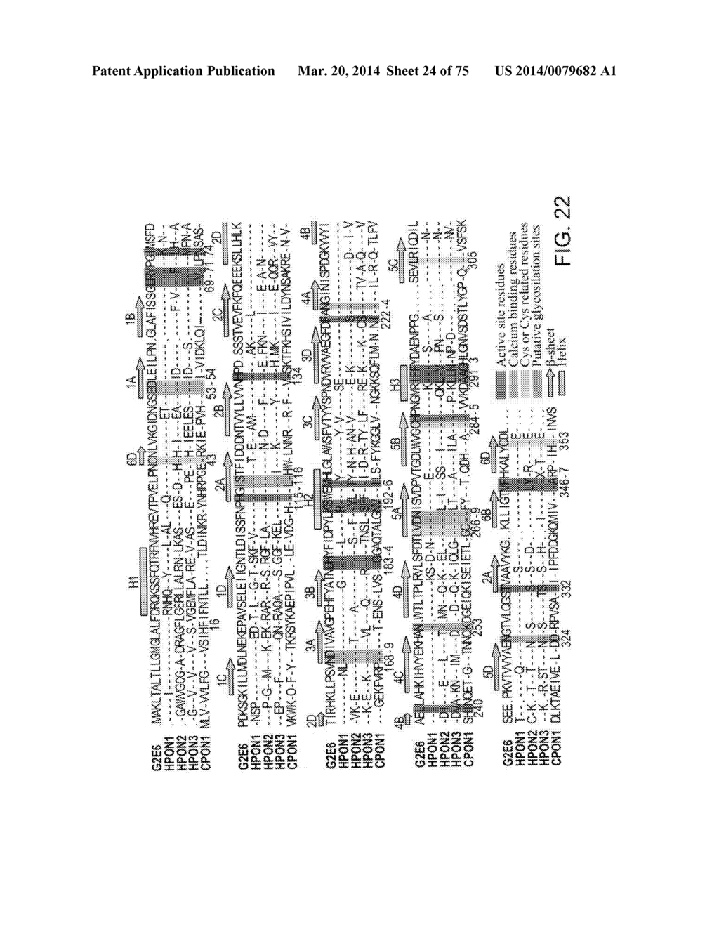 PON POLYPEPTIDES, POLYNUCLEOTIDES ENCODING SAME AND COMPOSITIONS AND     METHODS UTILIZING SAME - diagram, schematic, and image 25