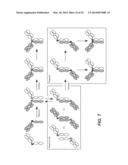 Fc VARIANTS AND METHODS FOR THEIR PRODUCTION diagram and image