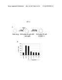 INHIBITORS OF BRUTON S TYROSINE KINASE FOR THE TREATMENT OF SOLID TUMORS diagram and image