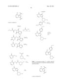 INHIBITORS OF BRUTON S TYROSINE KINASE FOR THE TREATMENT OF SOLID TUMORS diagram and image