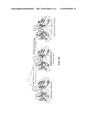 THERMOSTABLE ANTIBODY FRAMEWORK REGIONS diagram and image