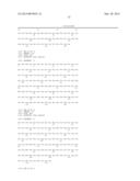 THERMOSTABLE ANTIBODY FRAMEWORK REGIONS diagram and image