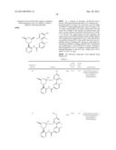 KINASE INHIBITORS AND METHODS OF THEIR USE diagram and image