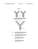 BISPECIFIC IMMUNOBINDERS DIRECTED AGAINST TNF AND IL-17 diagram and image