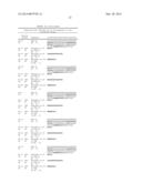 BISPECIFIC IMMUNOBINDERS DIRECTED AGAINST TNF AND IL-17 diagram and image