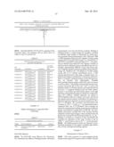 BISPECIFIC IMMUNOBINDERS DIRECTED AGAINST TNF AND IL-17 diagram and image